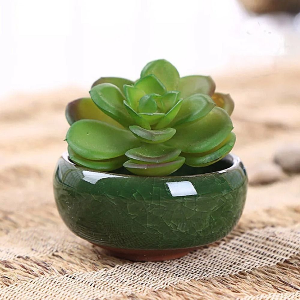 Pilea Peperomioides - Breathable Ice-Crack Glaze Ceramic Flowerpots Thickened