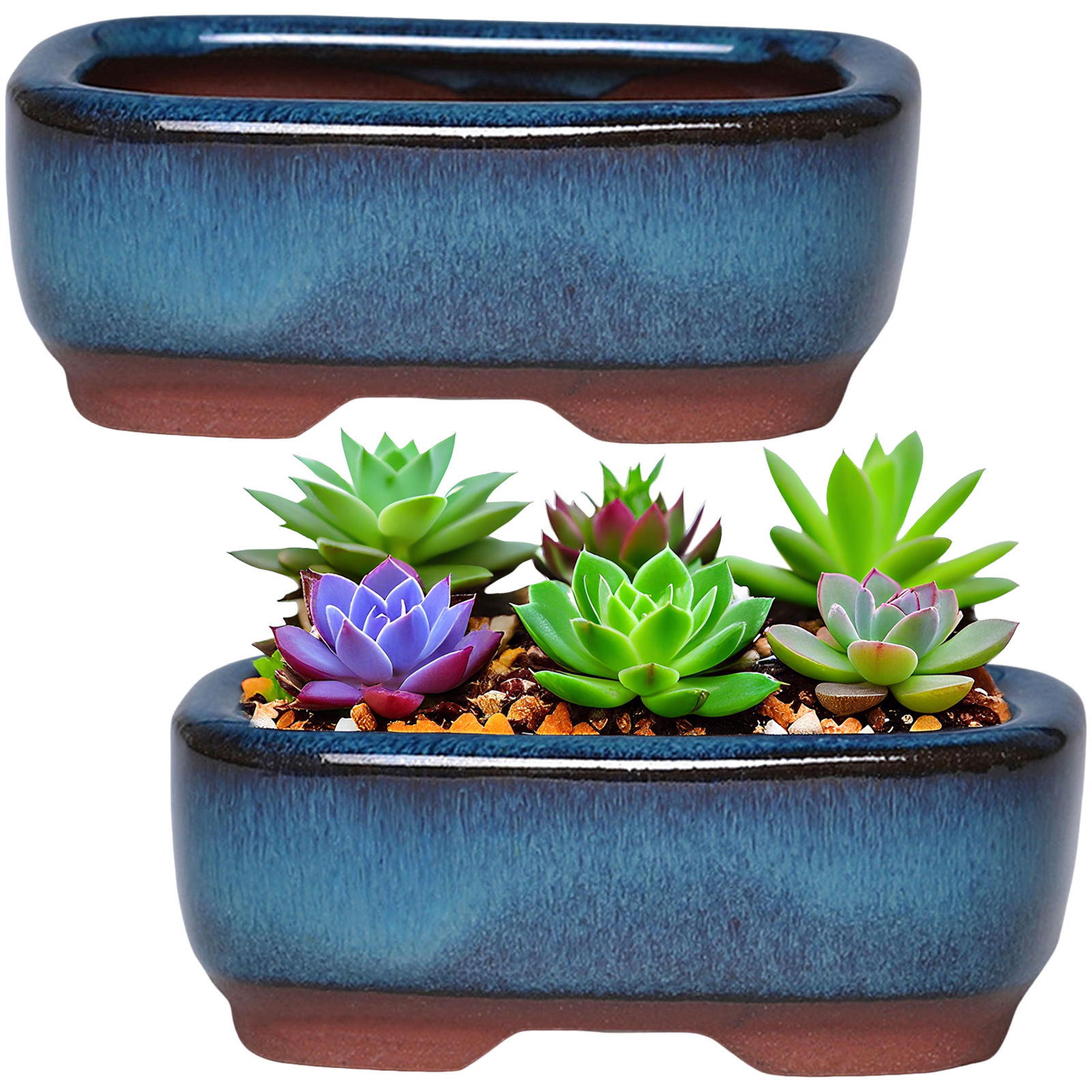 Ceramic Flowerpot Creative Suc - Pilea Peperomioides avaliação e preço