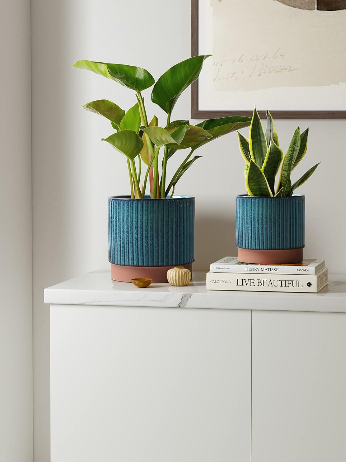 Set of 3 Ceramic Plant Pots wi - Aloe Vera Pot avaliação e preço