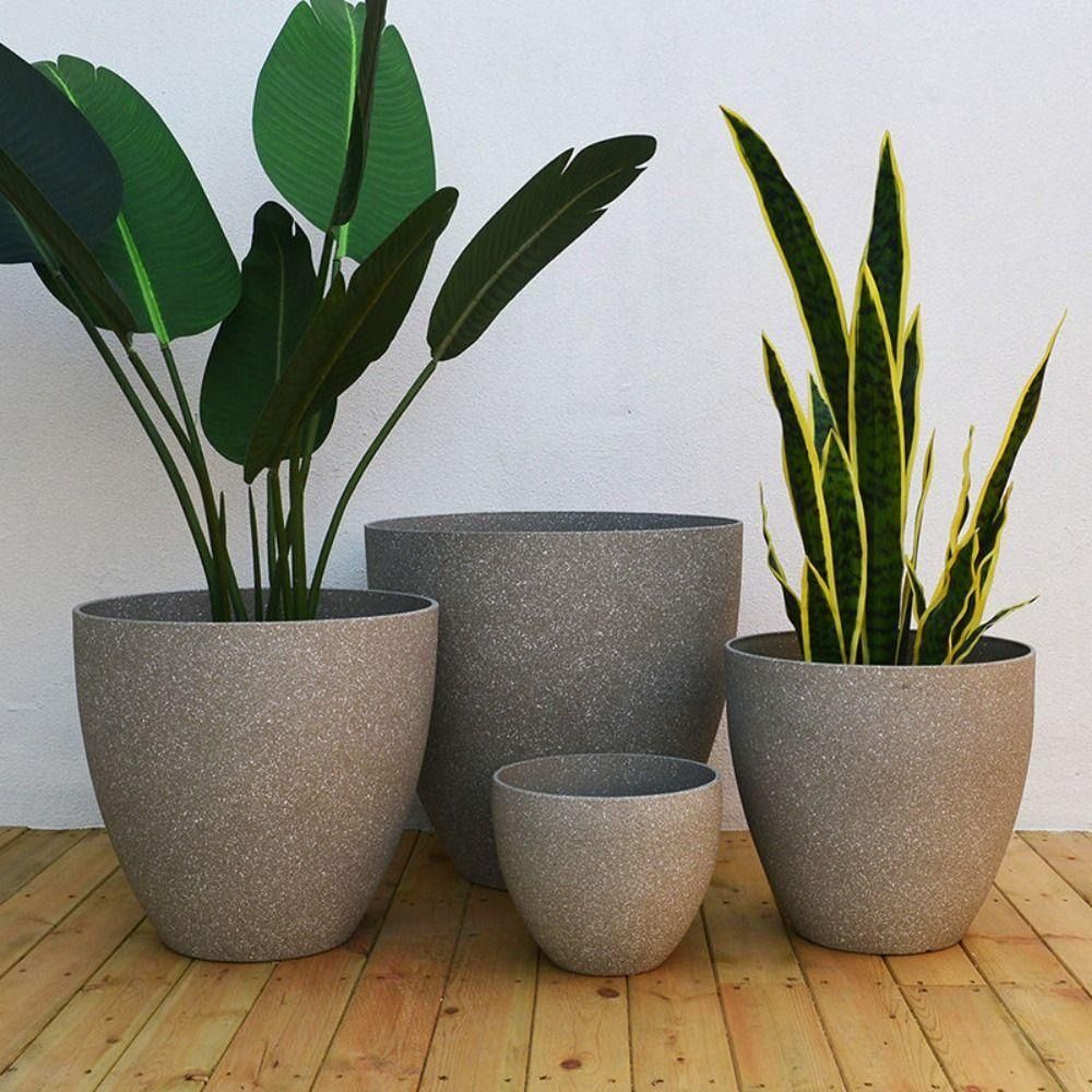 Frosted Imitation Stone Bonsai - Pilea Peperomioides avaliação e preço