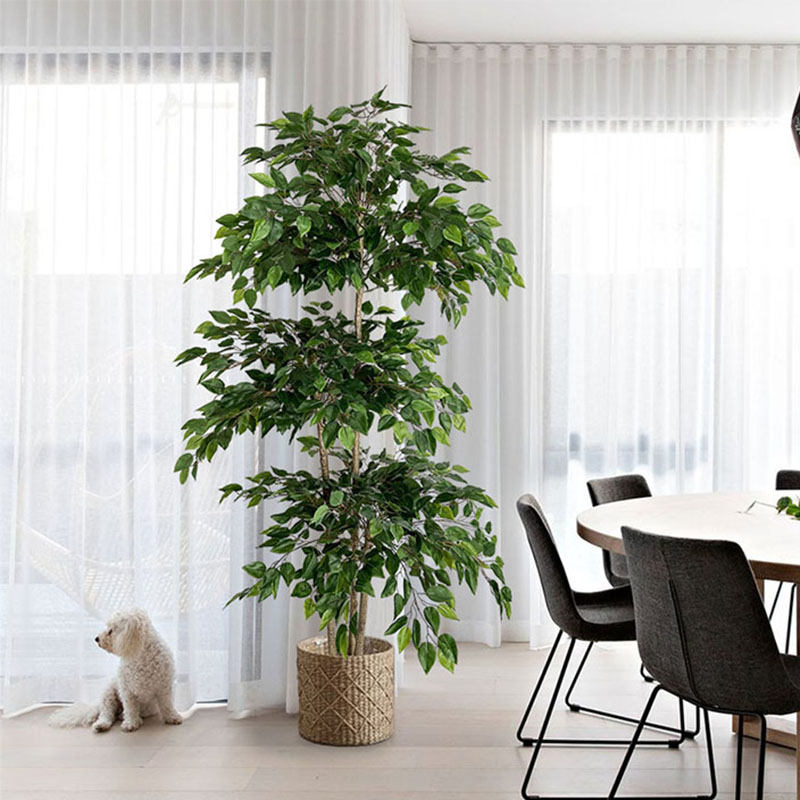 70in Ficus Artificial Tree Lar - Dracaena Marginata avaliação e preço