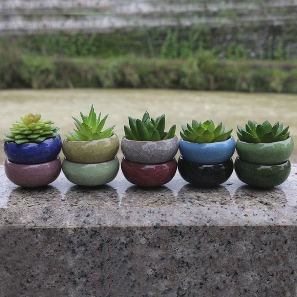 Breathable Ice-Crack Glaze Cer - Pilea Peperomioides avaliação e preço