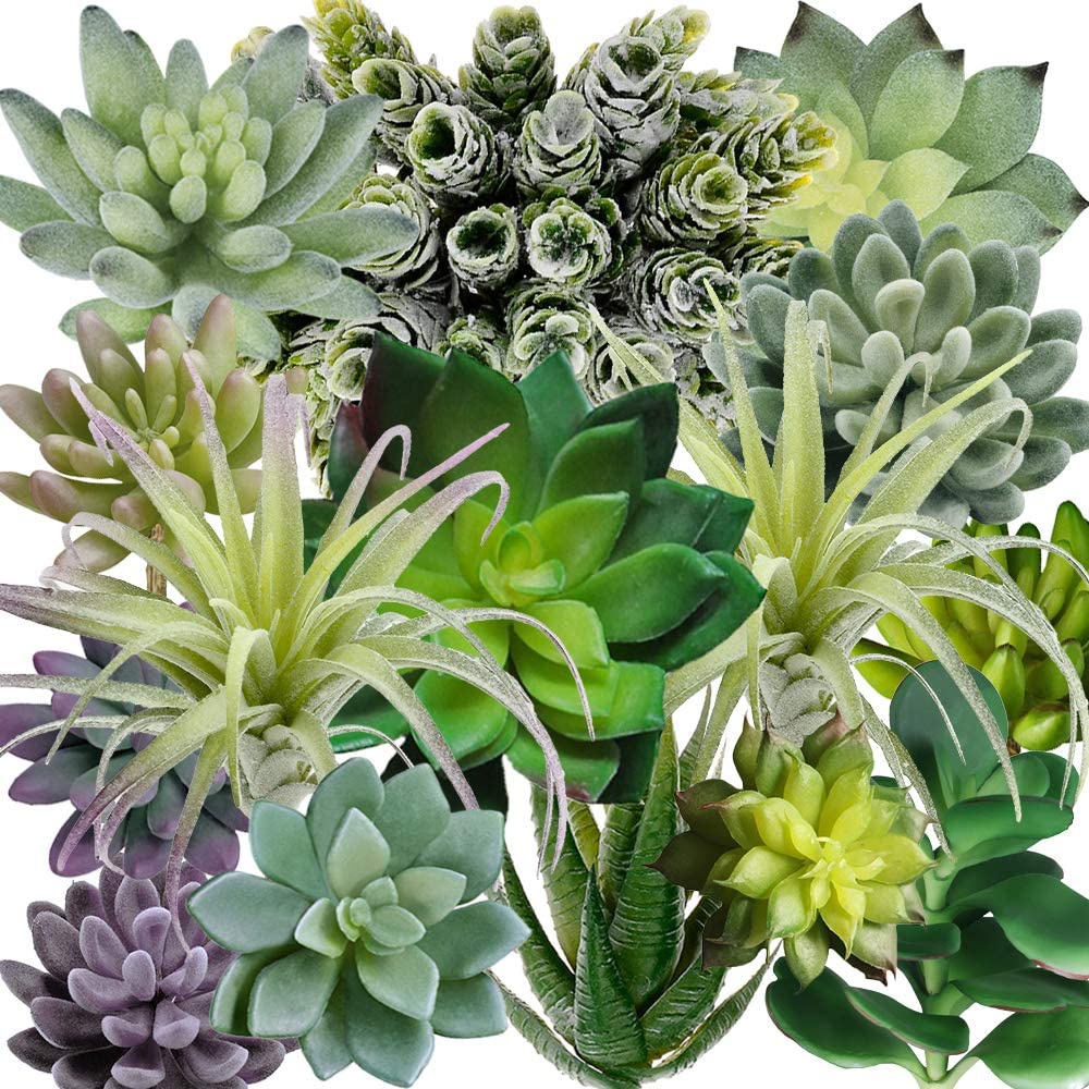 15 Pack Assorted Artificial Su - Echeveria Succulent avaliação e preço