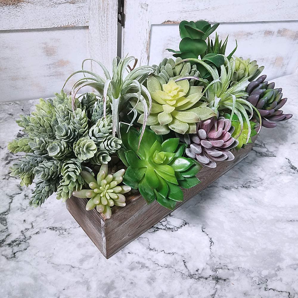 15 Pack Assorted Artificial Su - Echeveria Succulent avaliação e preço