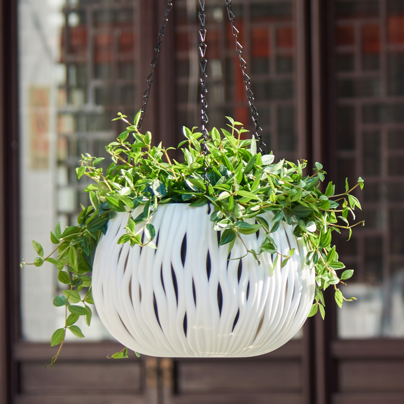 Hanging pot, plastic personali - Spider Plant Hanging avaliação e preço