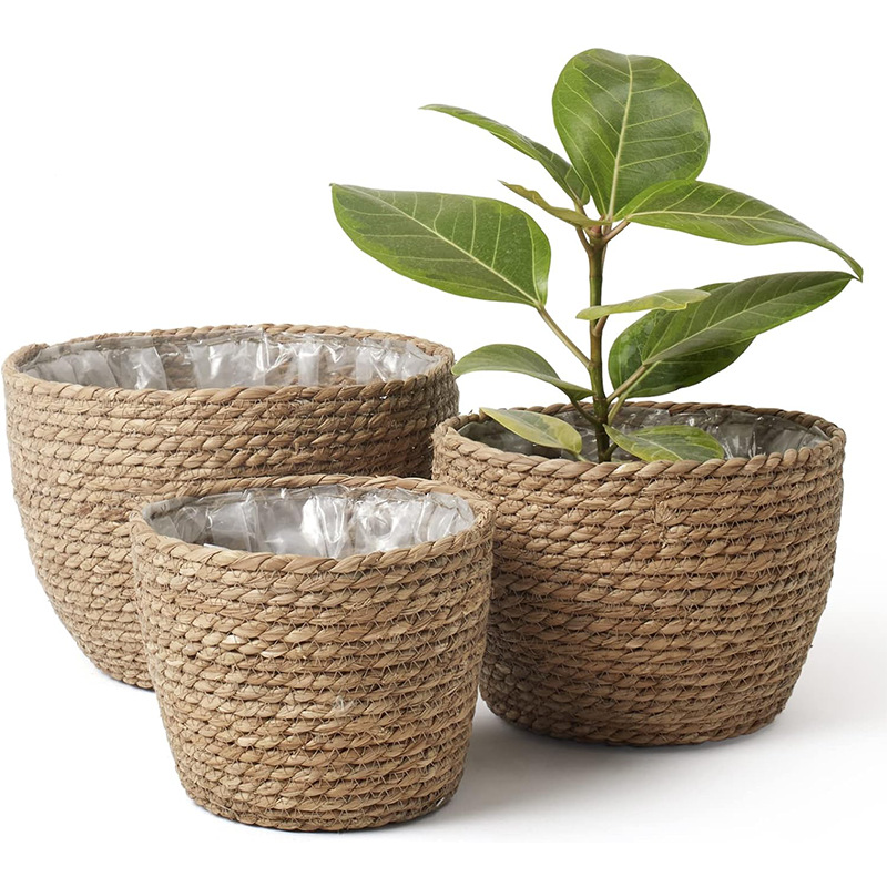 Natural Woven Flower Basket St - Aloe Vera Pot avaliação e preço