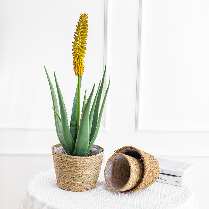 Natural Woven Flower Basket St - Aloe Vera Pot avaliação e preço