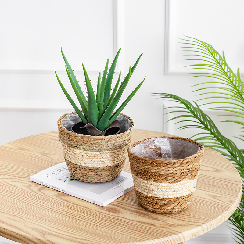 Natural Woven Flower Basket St - Aloe Vera Pot avaliação e preço