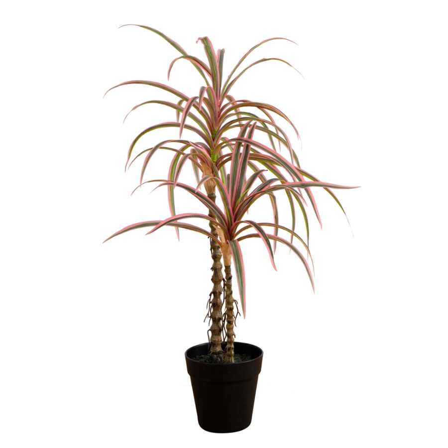 Dracaena Marginata Artificial  - Dracaena Marginata avaliação e preço