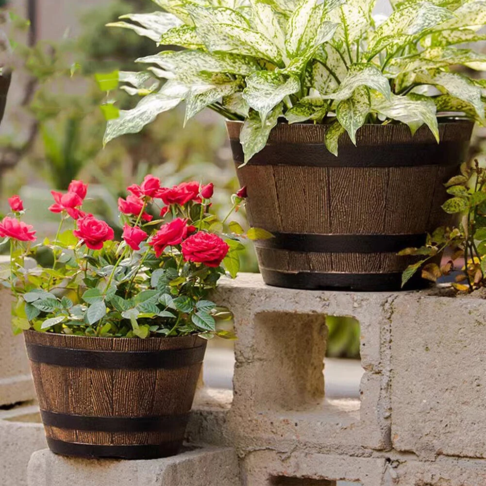 Rustic Whiskey Bucket Resin Po - Aloe Vera Pot avaliação e preço