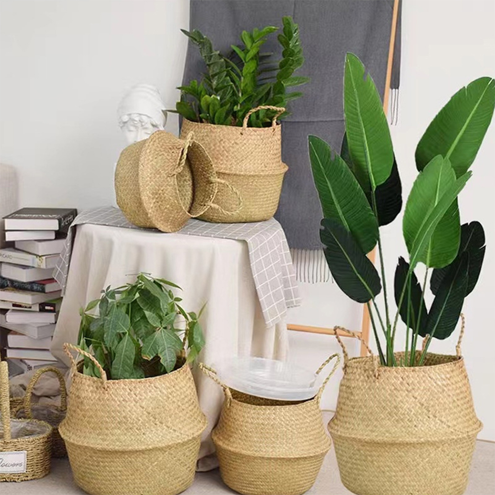 Plant Basket with Handles Wick - Aloe Vera Pot avaliação e preço