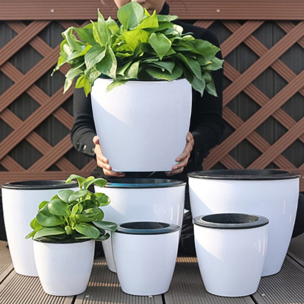 Automatic Watering Flower Plan - Aloe Vera Pot avaliação e preço