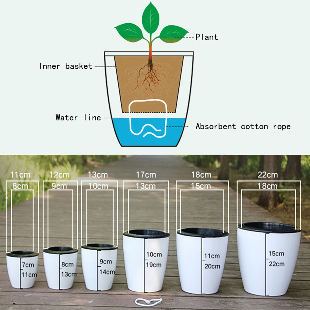 Automatic Watering Flower Plan - Aloe Vera Pot avaliação e preço