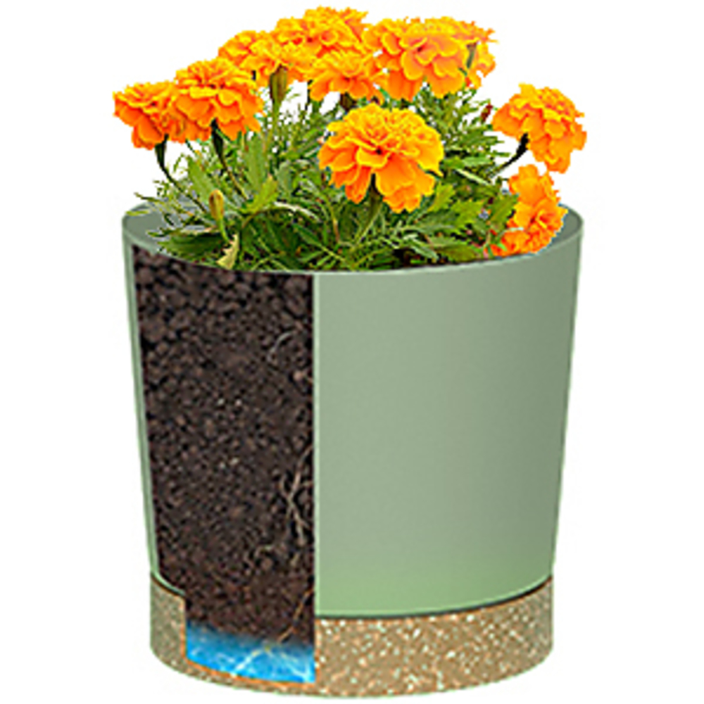 Plant POTS, lightweight large  - Aloe Vera Pot avaliação e preço