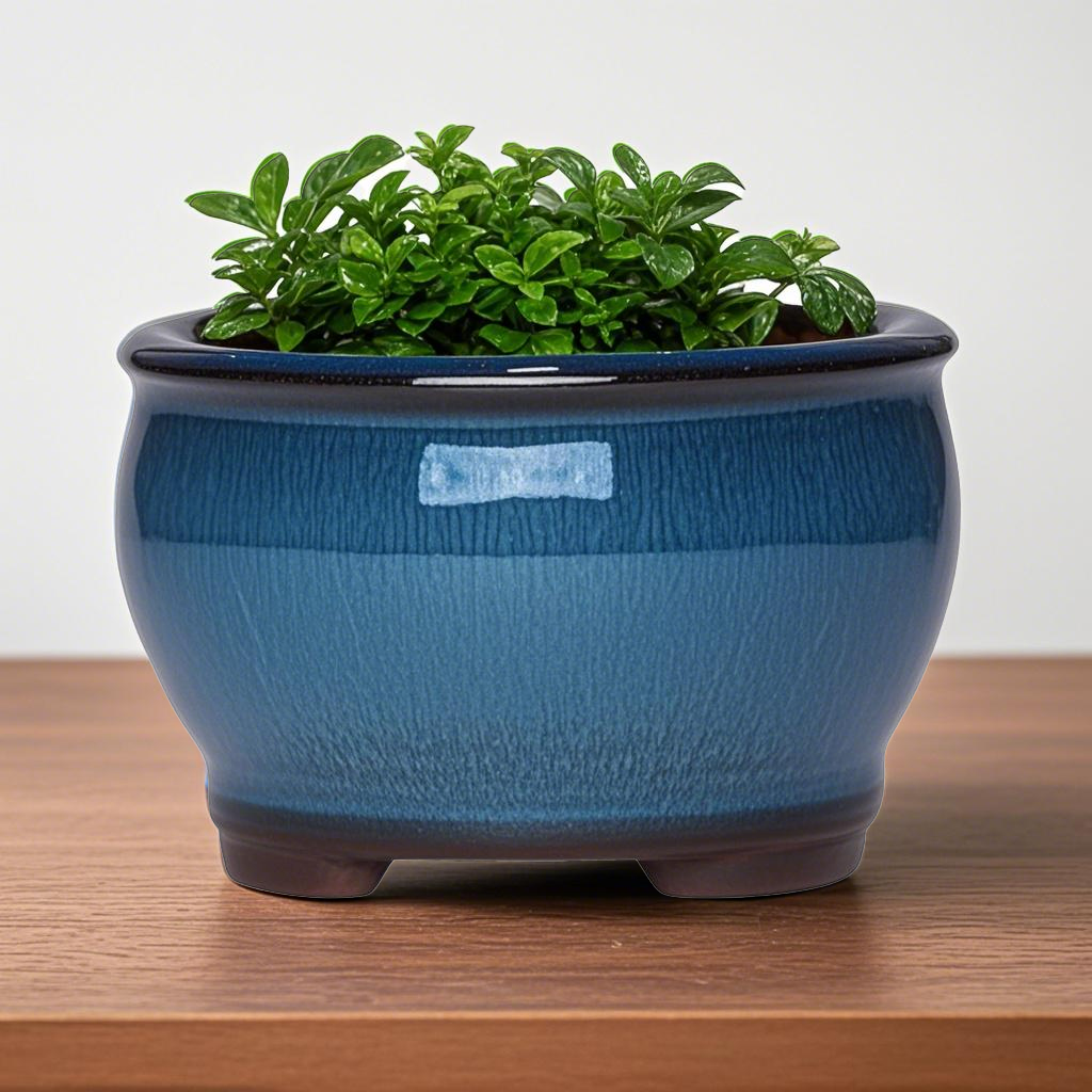 Ceramic Garden Planter Pots Ce - Pilea Peperomioides avaliação e preço