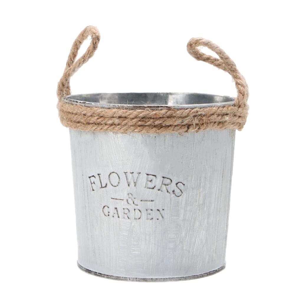 Antique Metal Bucket Herb Flow - Pilea Peperomioides avaliação e preço