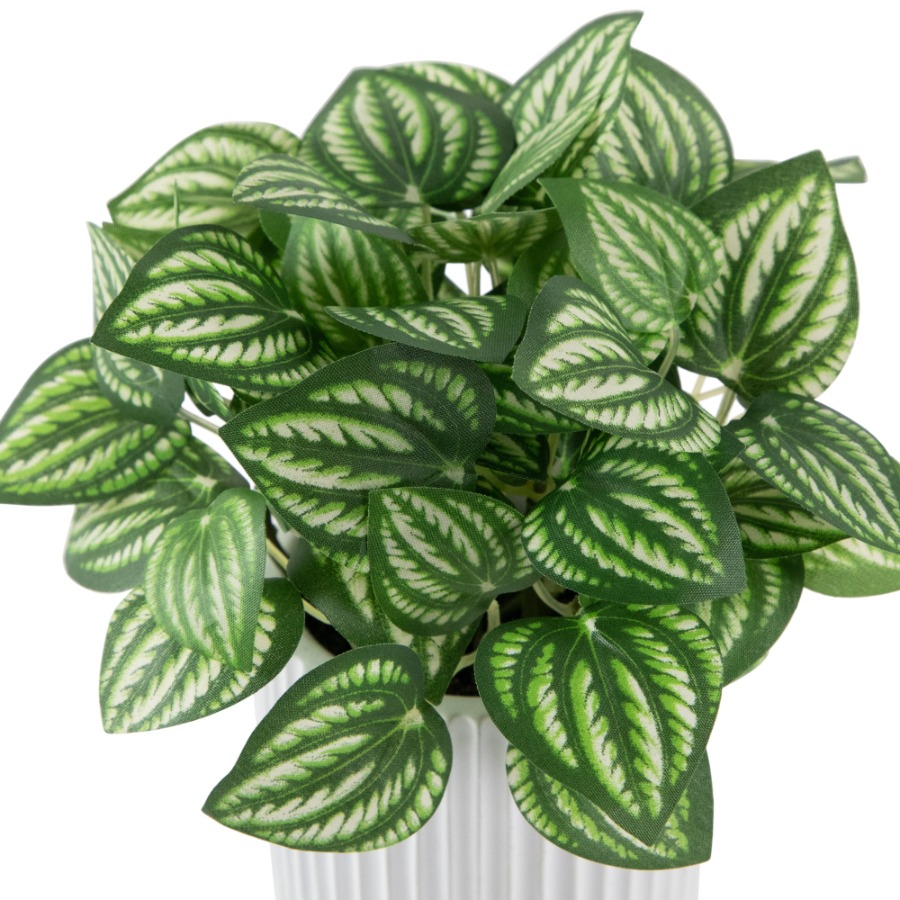 Artificial Watermelon Peperomi - Peperomia Watermelon avaliação e preço