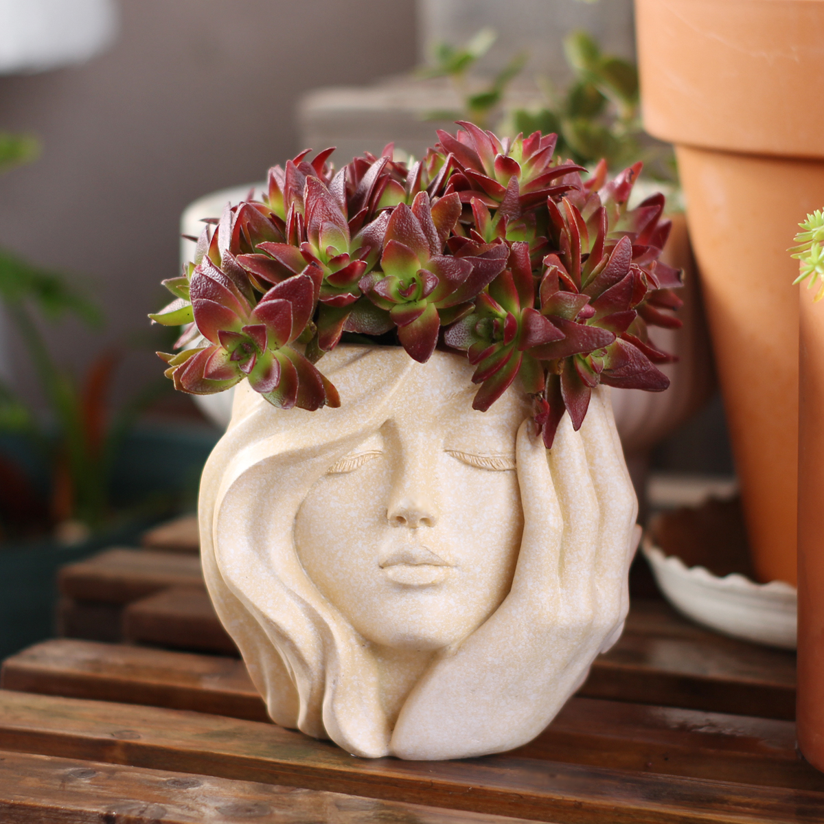 Face-Shaped Flower Pot Suitabl - Pilea Peperomioides avaliação e preço