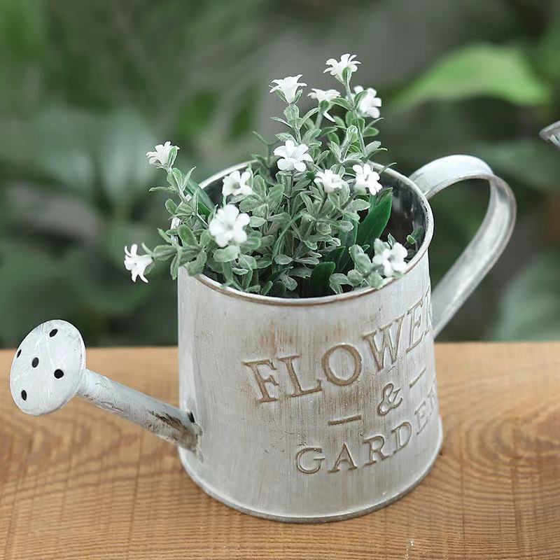 Barrels Garden Decoration Tin  - Pilea Peperomioides avaliação e preço
