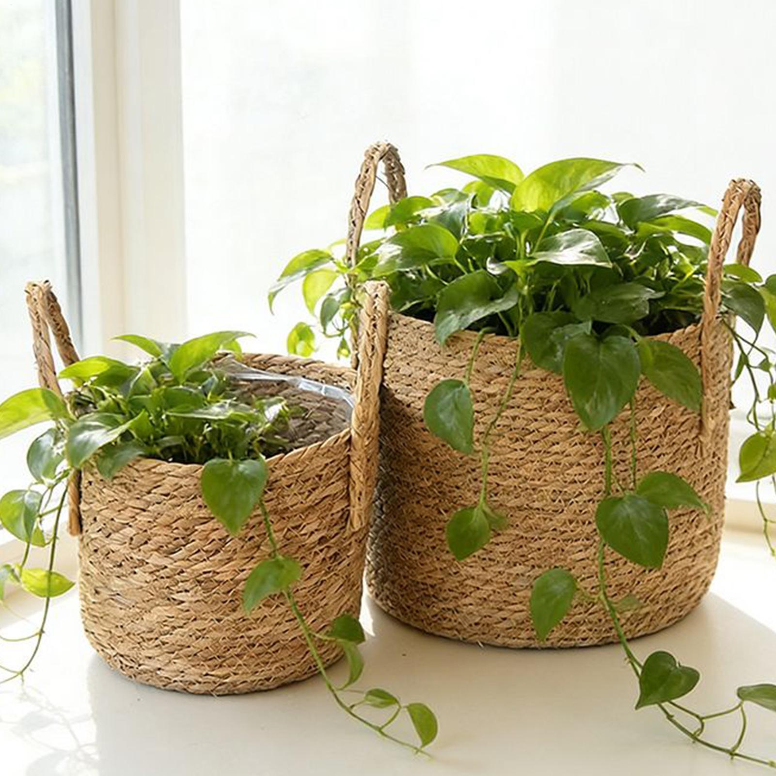 Planter Basket Straw Flowerpot - Pilea Peperomioides avaliação e preço
